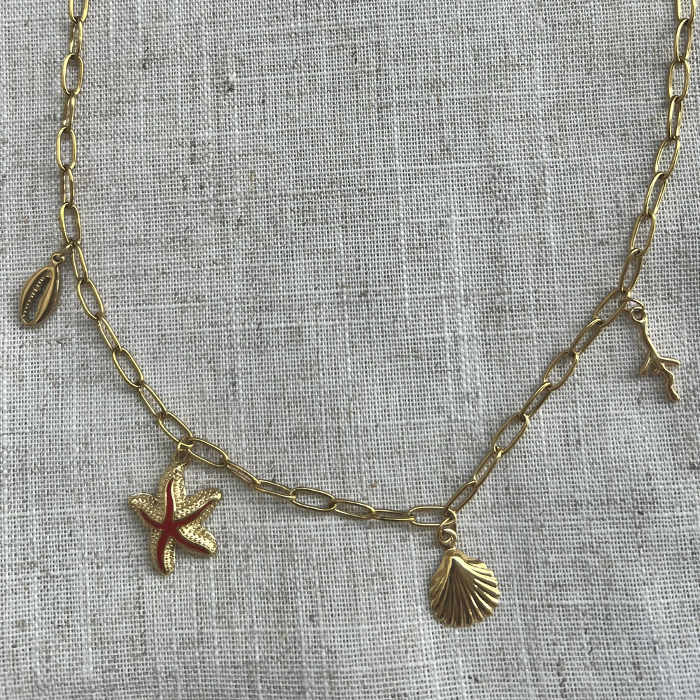 collier calvi en acier inoxydable posé