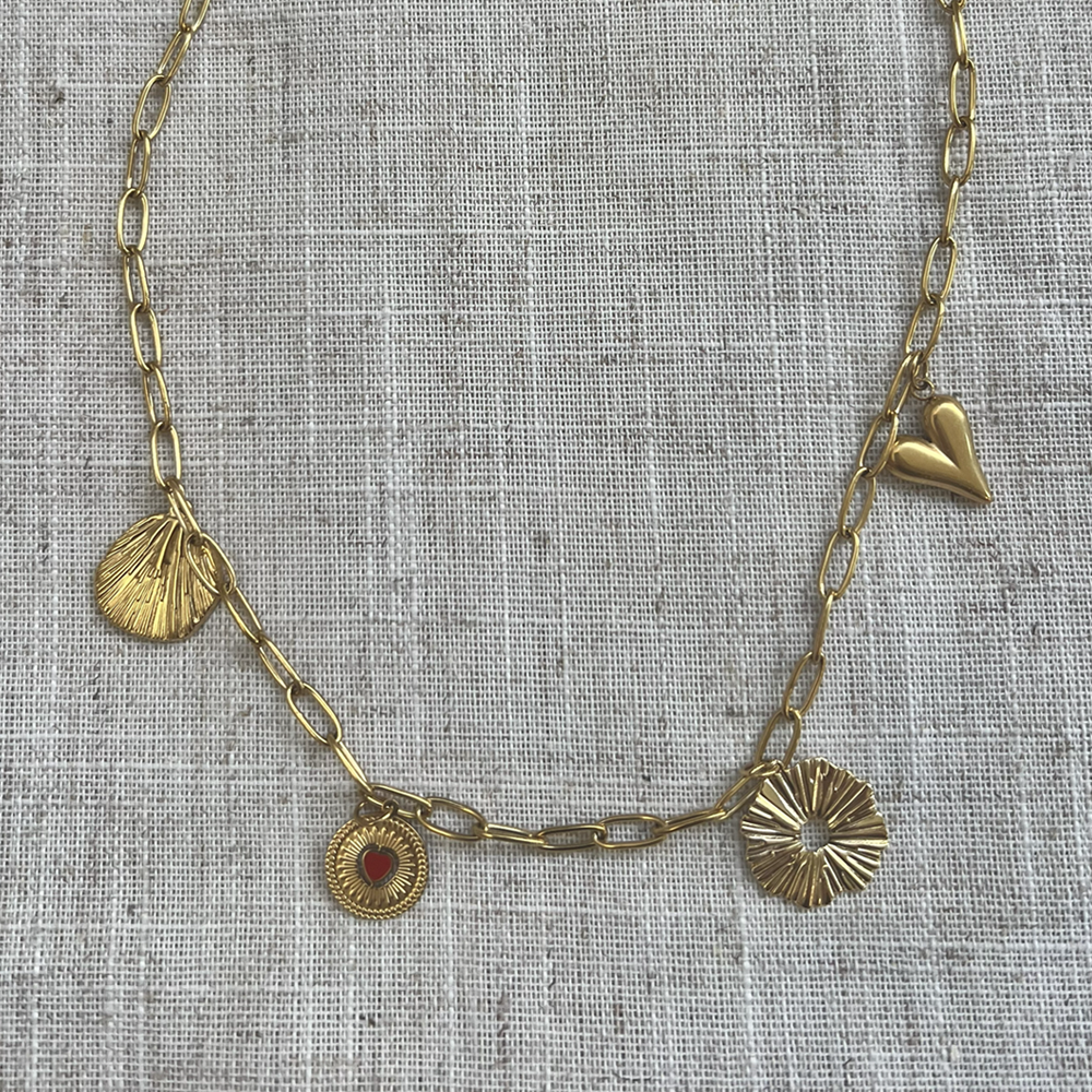 collier roma acier inoxydable posé