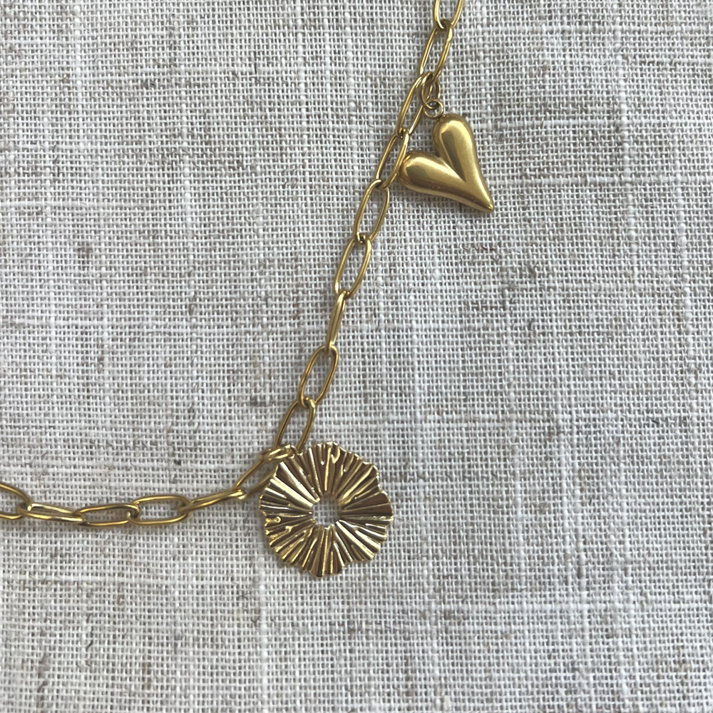 collier roma acier inoxydable zoom 2